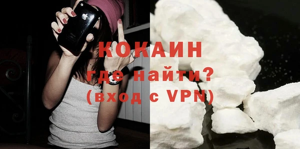 дурь Гусев