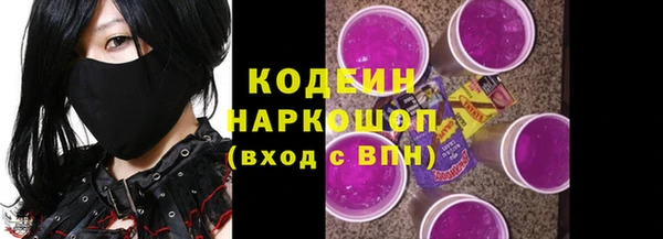 СК Горнозаводск
