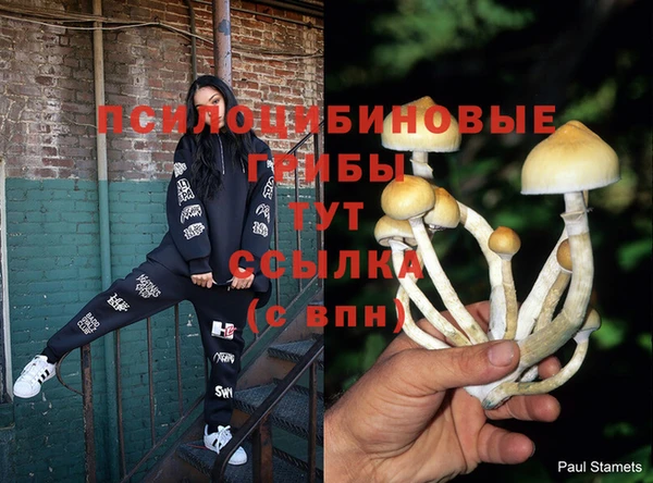 СК Горнозаводск
