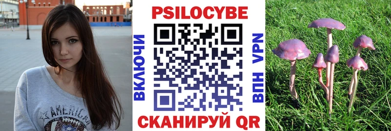 Галлюциногенные грибы мицелий  где можно купить наркотик  Кодинск 